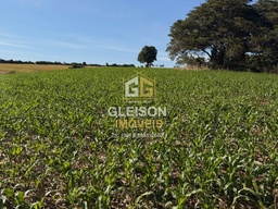 Fazenda/Sítios/Chácaras de 162600m² no bairro Zona Rural , em Passos | Eu Corretor