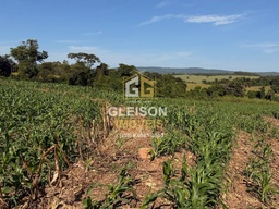 Fazenda/Sítios/Chácaras de 162600m² no bairro Zona Rural , em Passos | Eu Corretor